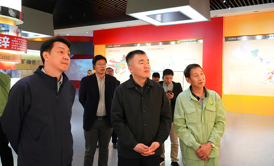 10.4-2024年04月，自然資源部礦保司副司長(zhǎng)王博蒞臨公司調(diào)研。.jpg